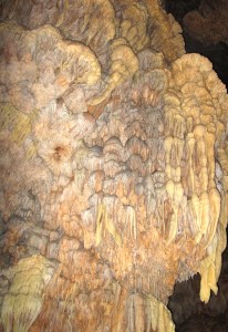 Caves under the Mayan Mountains