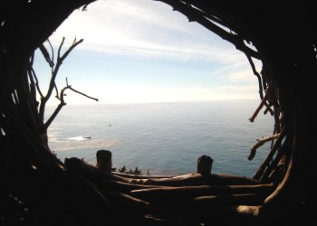 TreebonesNestView111