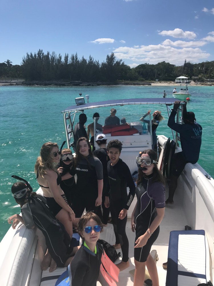 m2YLffHlTA6v55nql6zXCw