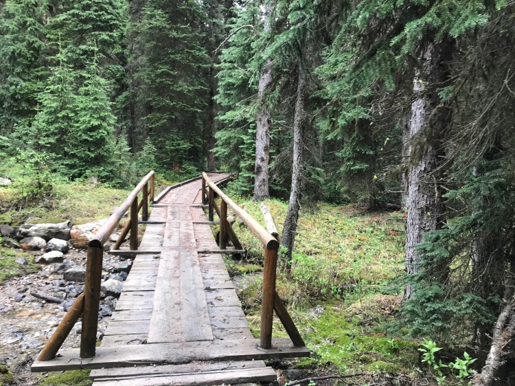 8bAuprHESXuD+npvdtbJ8Q