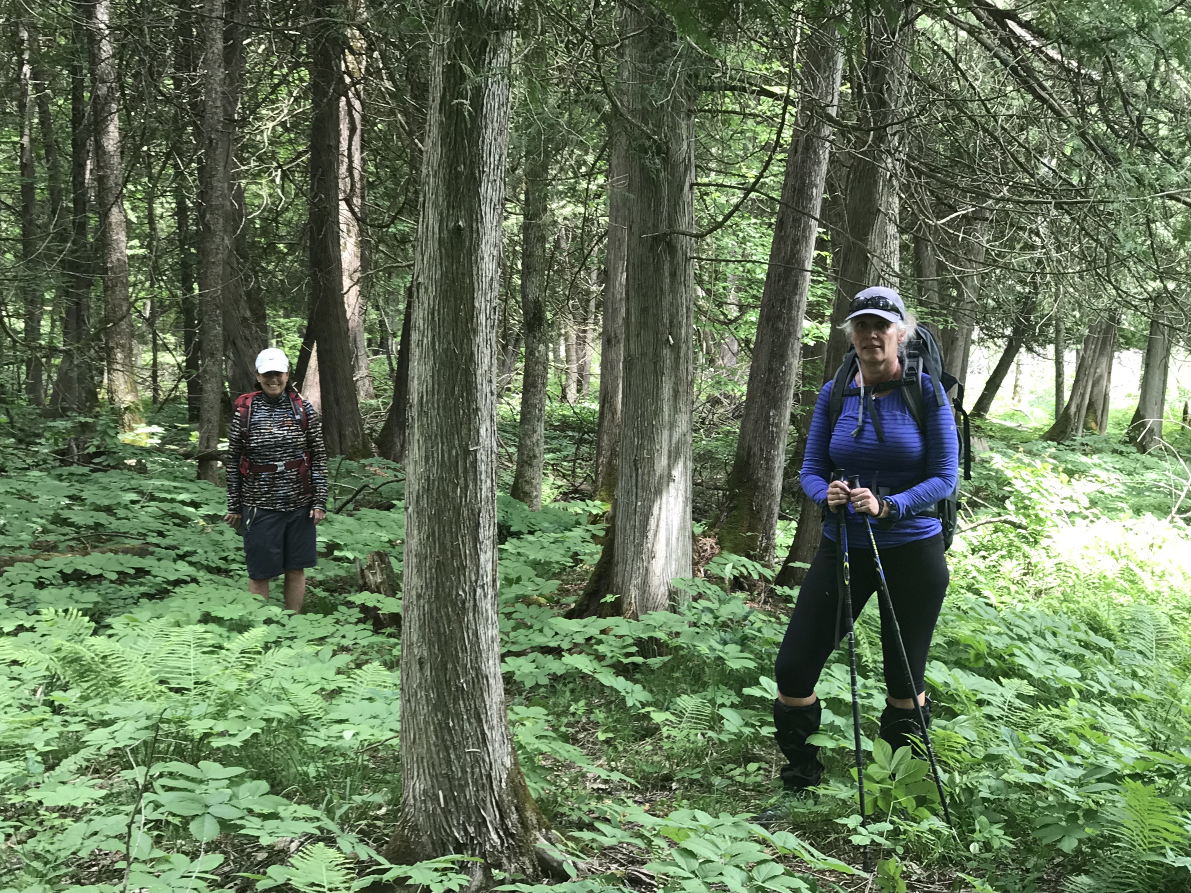 hOttMx3yRM2N1Q9COGeZYw