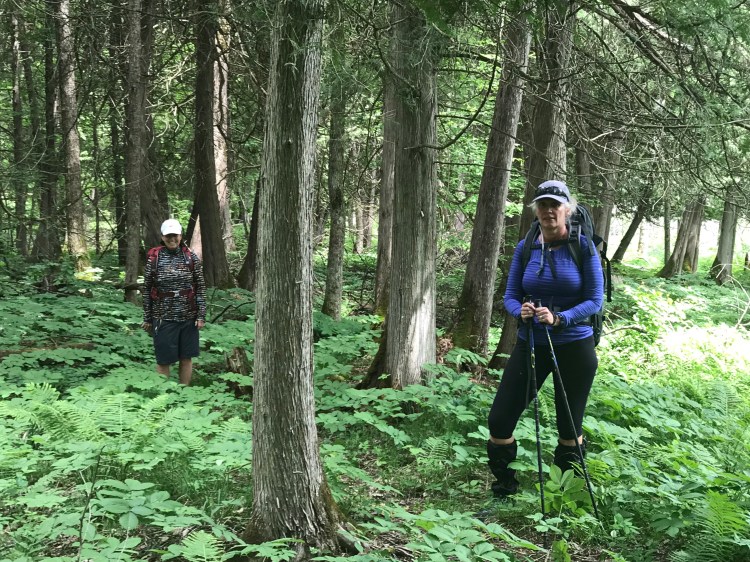 hOttMx3yRM2N1Q9COGeZYw