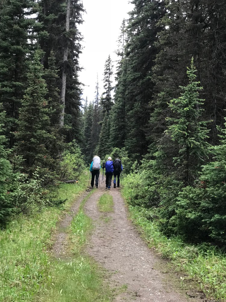 jZH36Ib9QhGCH4jvDw6XyA