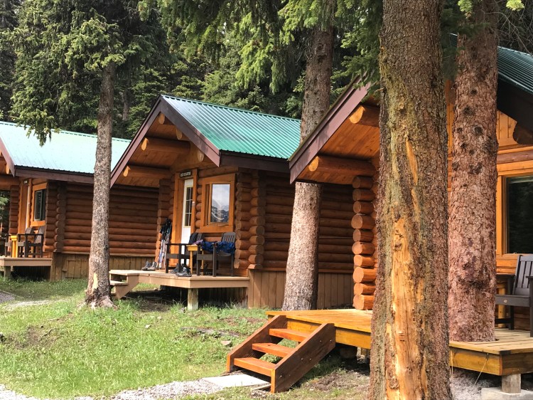 MOBrcu5fT1qbMtKJv6hJ2Q