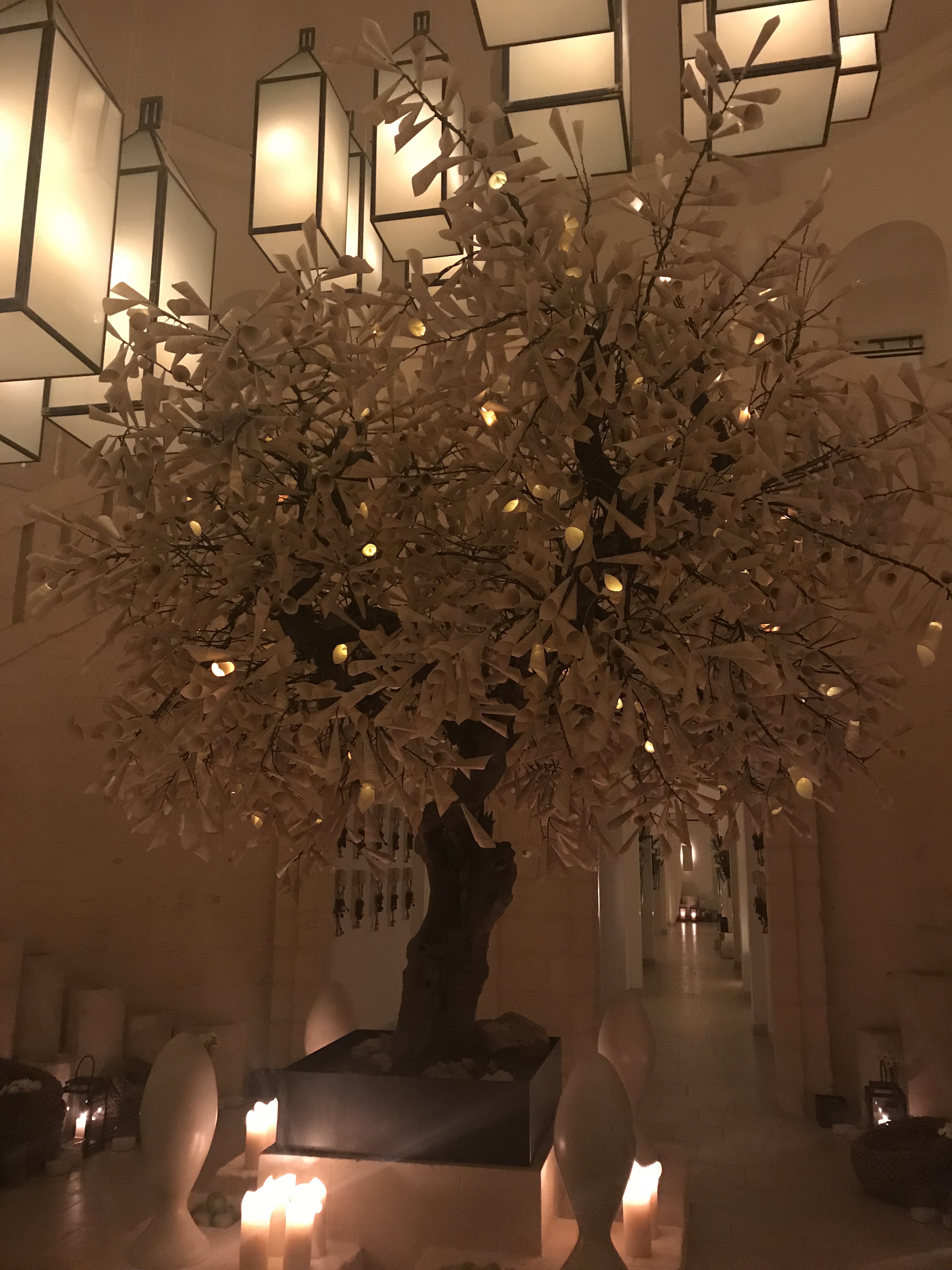 zcXIAdriRWWduWqDKUKAuw