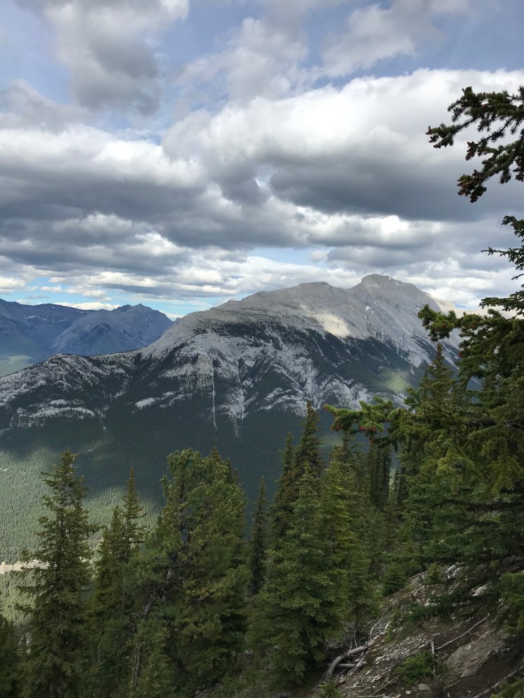 6hEZW%h3ToSRaP8kpE5uVg