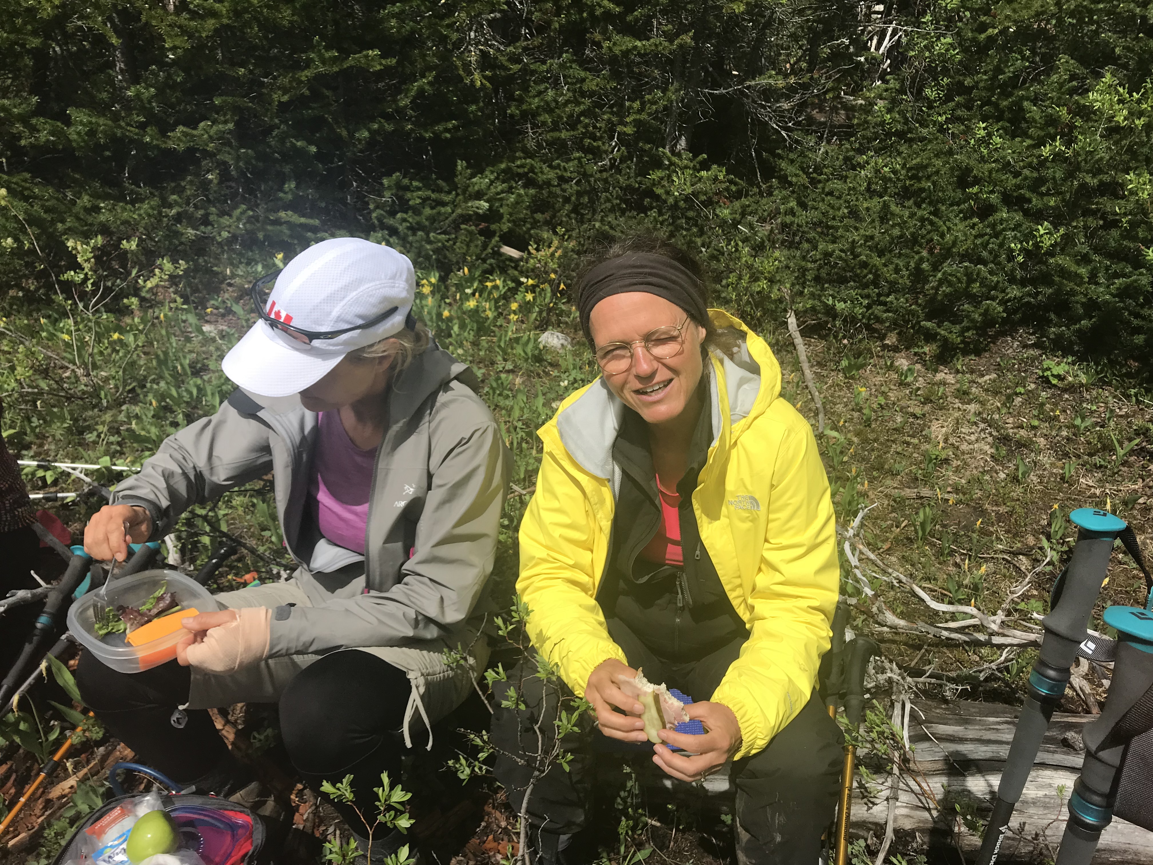 6ItYjfiqSCSeR3l9YtWcUQ