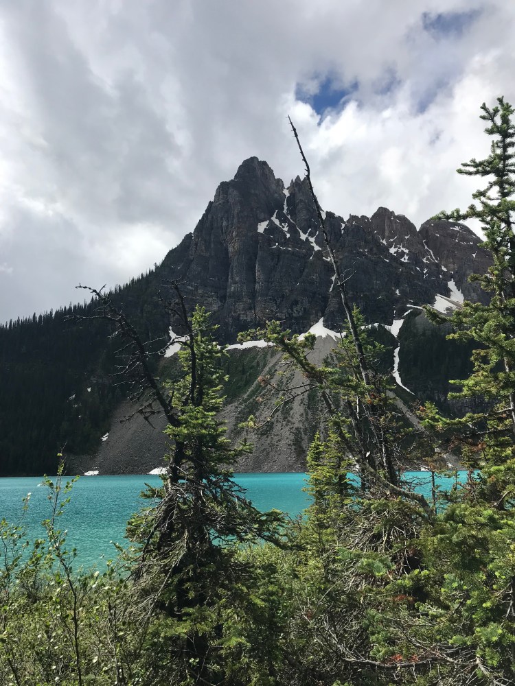 F9CqSQuBRDOqFV2GDy7w%Q