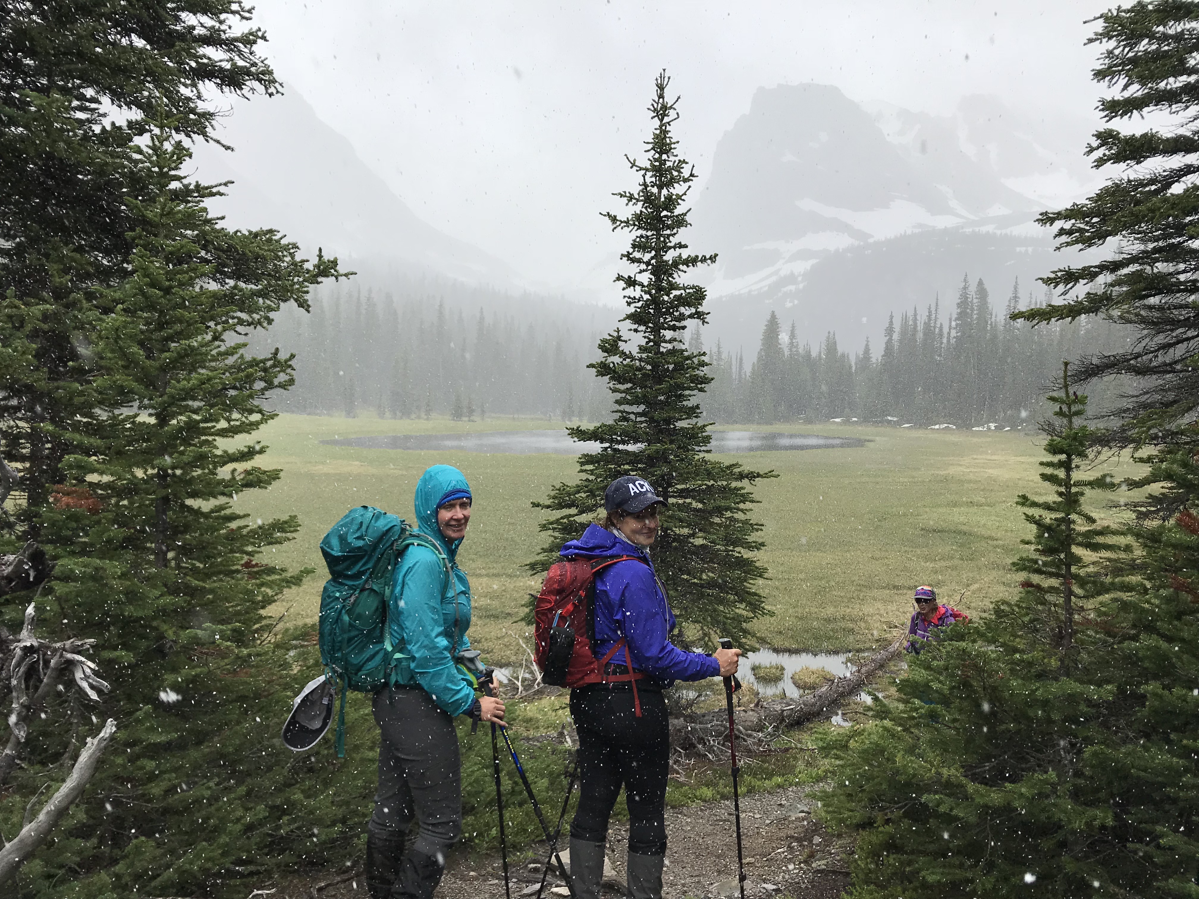 IQIb3fHpSJu0tl34JlsxNg