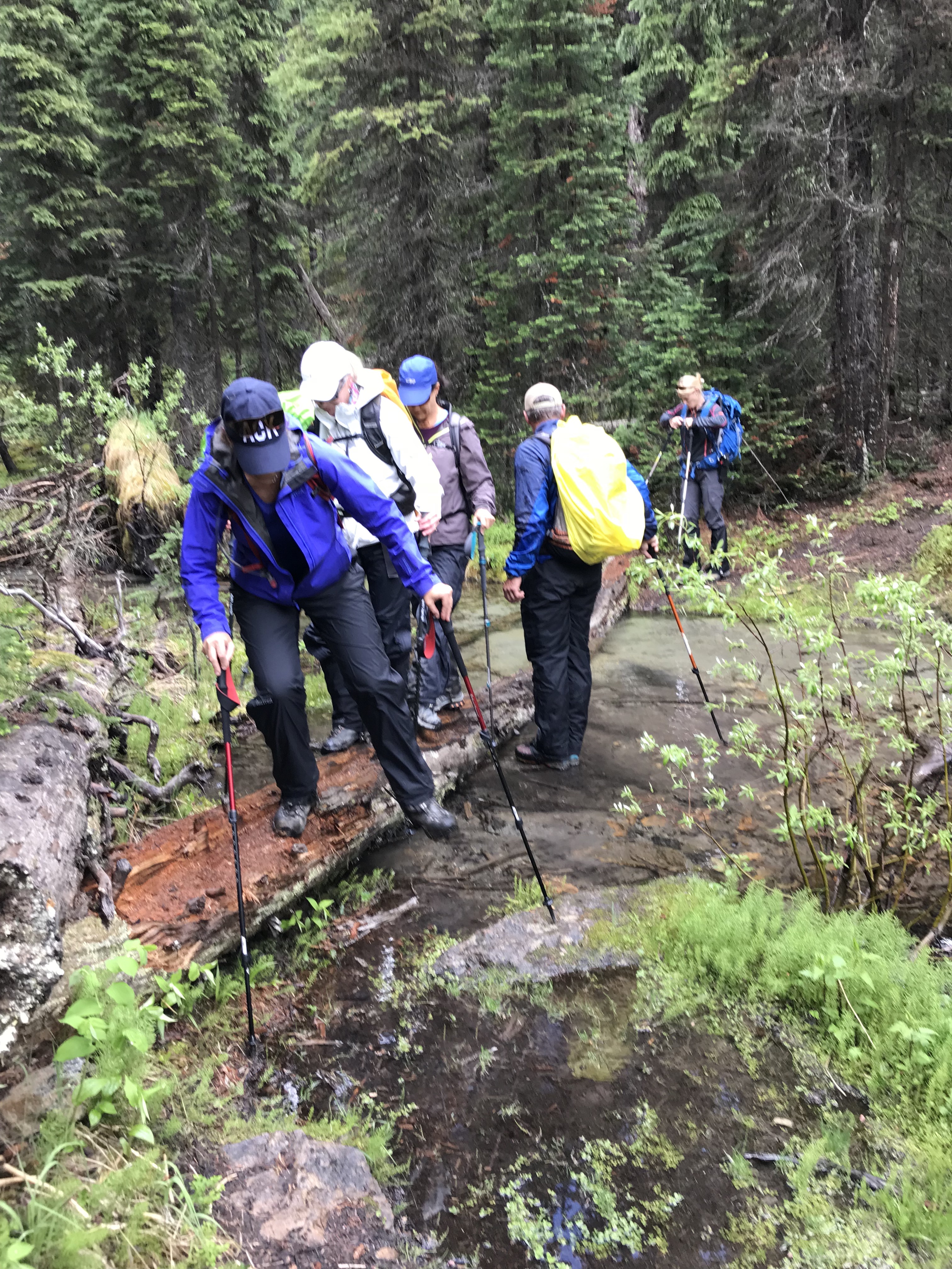 jY7Ky0qcTQyTC%Q9VcOfKw