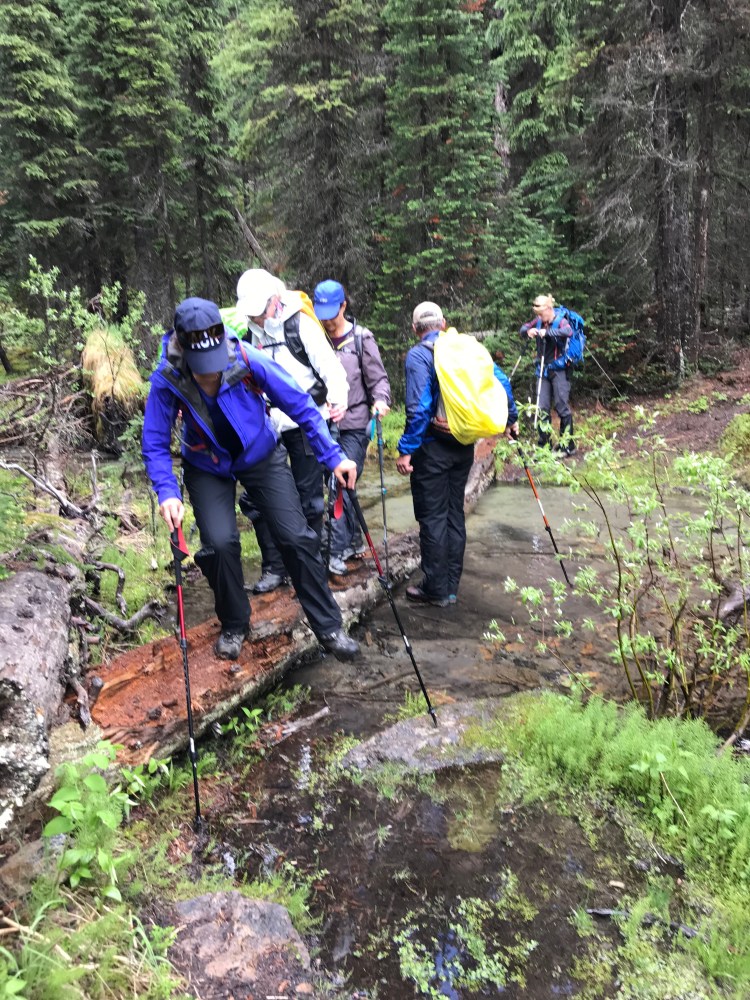 jY7Ky0qcTQyTC%Q9VcOfKw