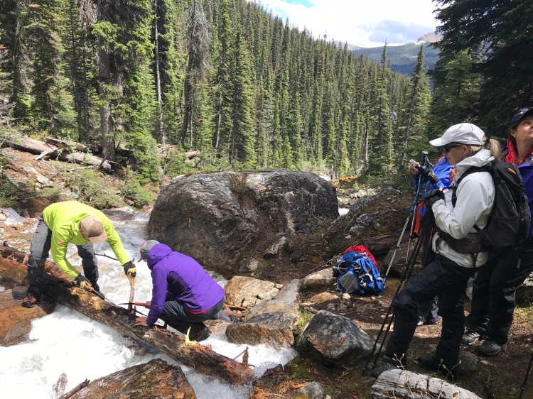 KfsHETHHTaaWOJoqZnhcpQ