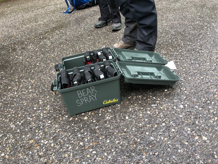 luYz9ulNQN+PDJQV5FVffQ