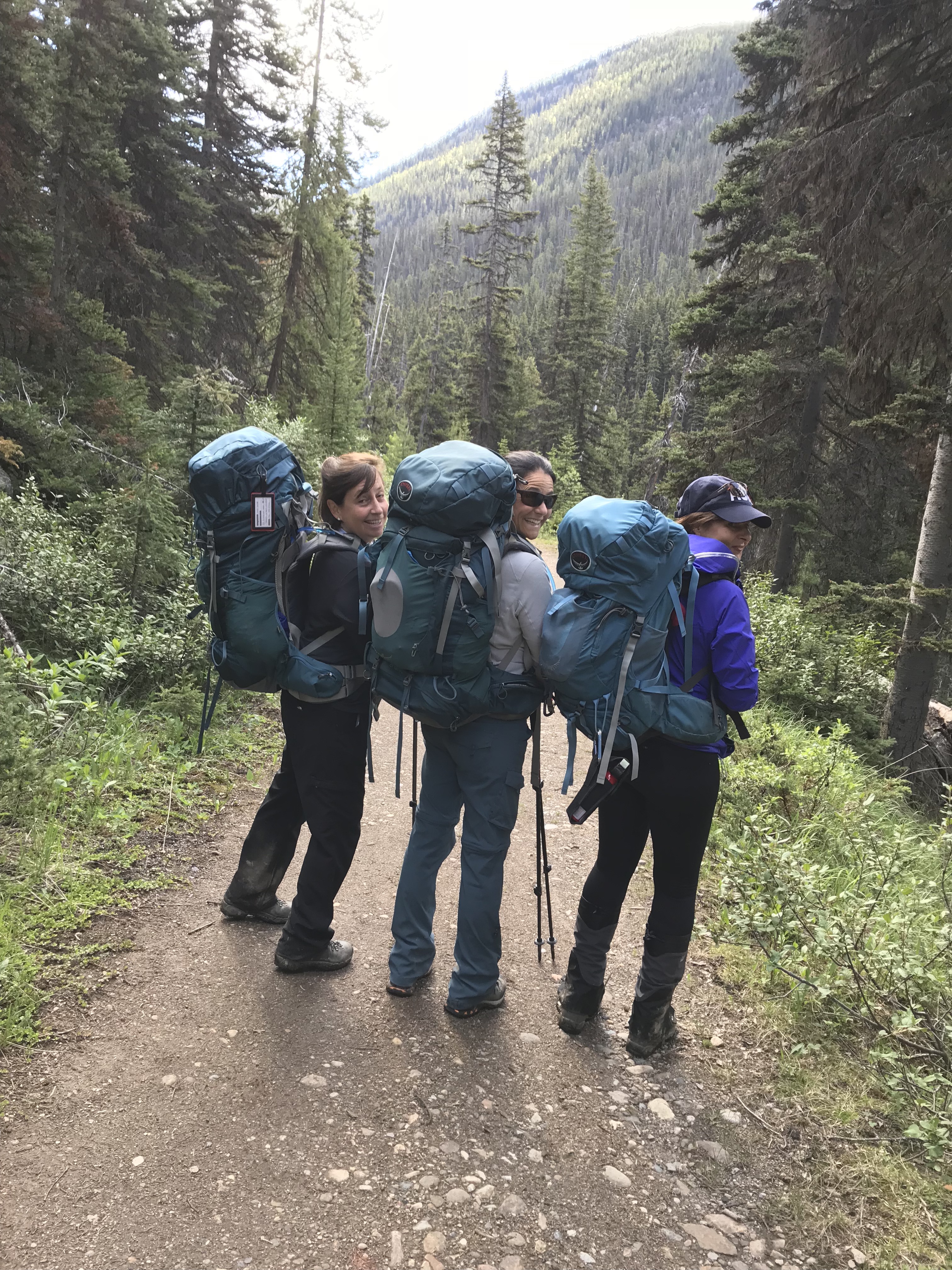 nmJr6taiTjyp5VpwEBTWBA