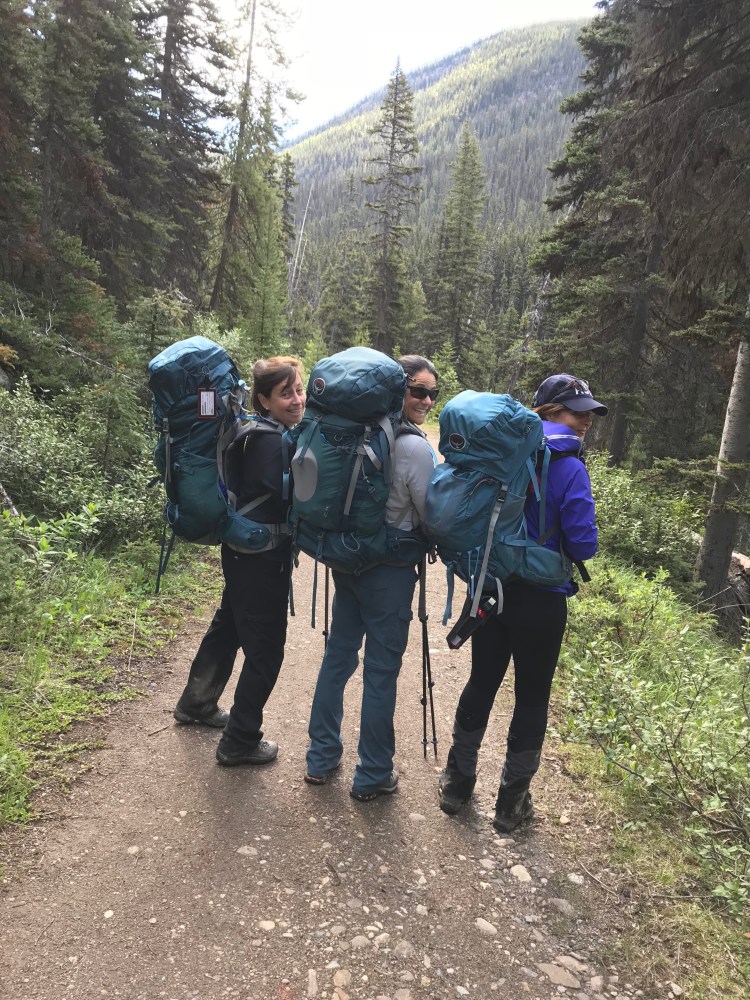 nmJr6taiTjyp5VpwEBTWBA