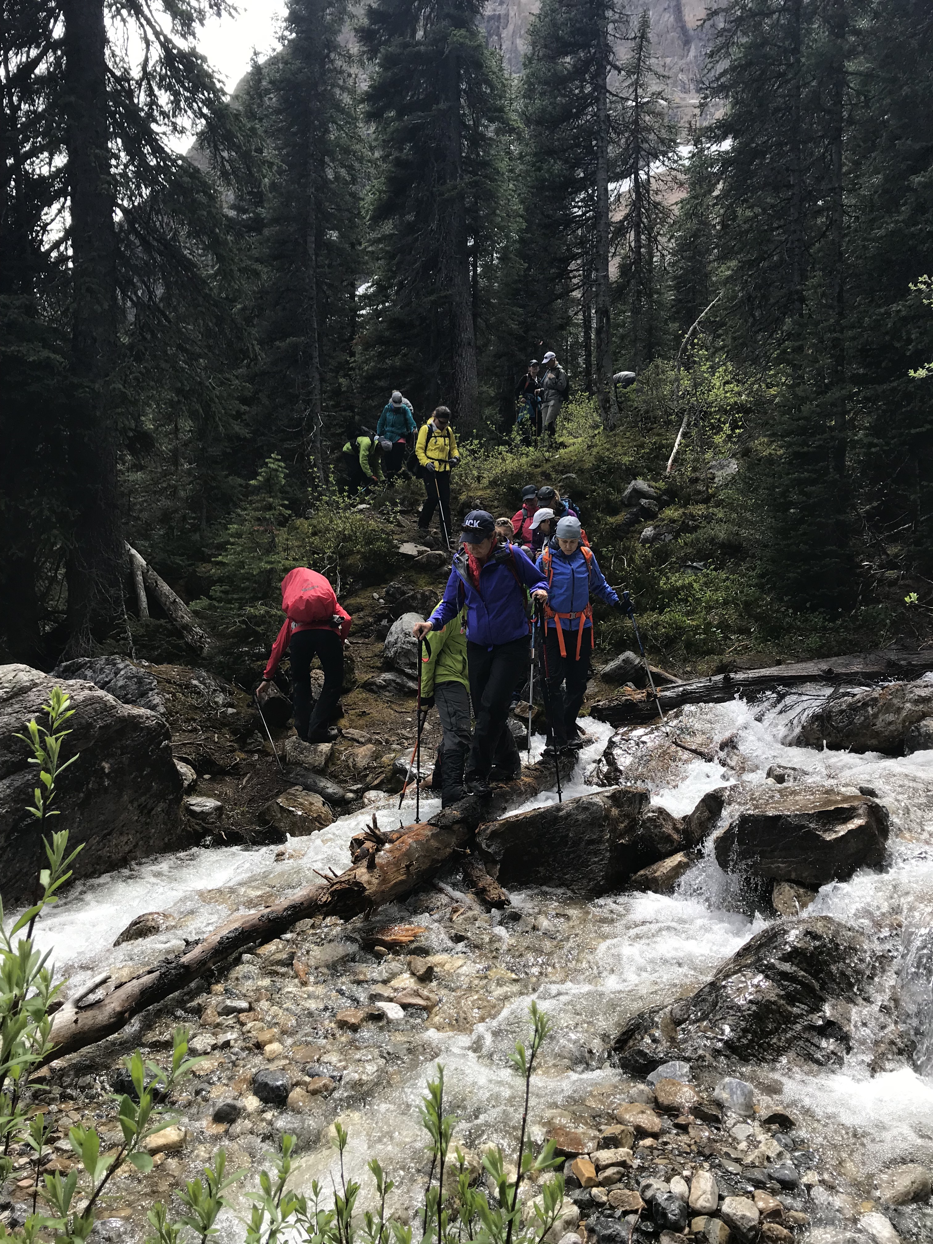 PE2sKdWASX6DuQKpdzIxaw