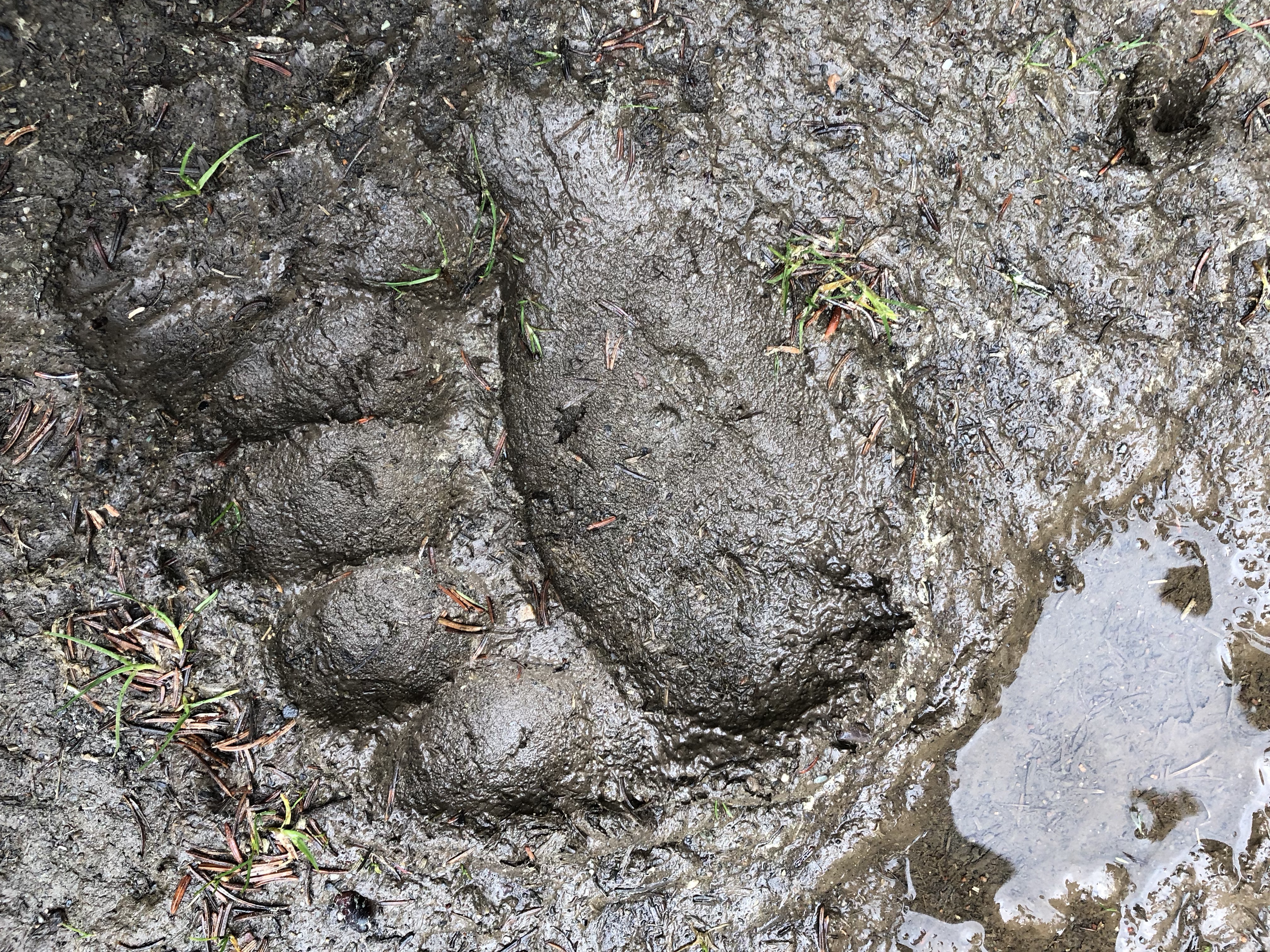 +Y3OkfCsRFmABcsesgpgHg