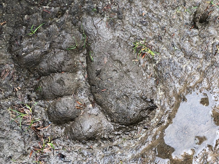 +Y3OkfCsRFmABcsesgpgHg