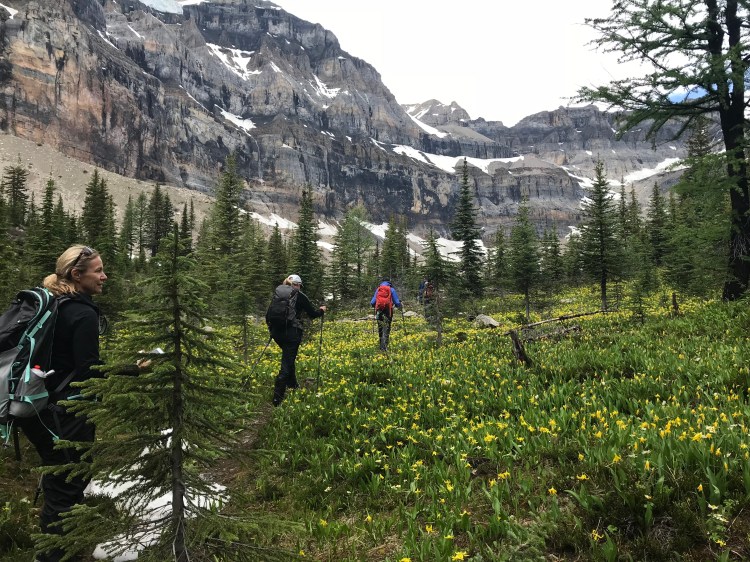 yuN0fEU1Sw6lNJ83PIFEGA