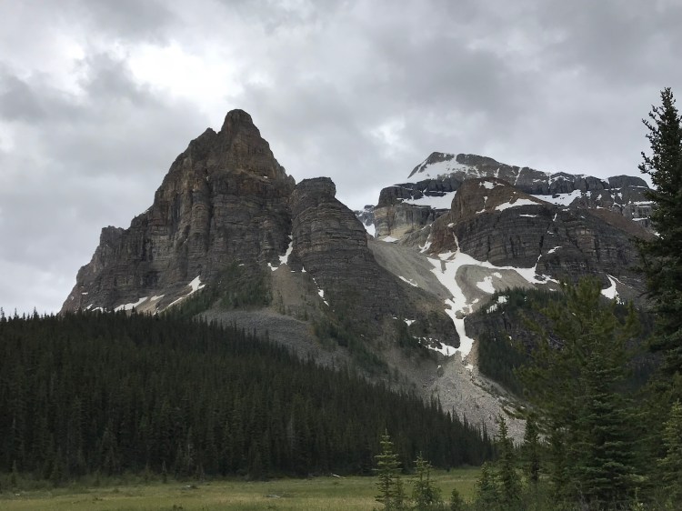 YUP45QmlSBm+Qw52q8V3Sw