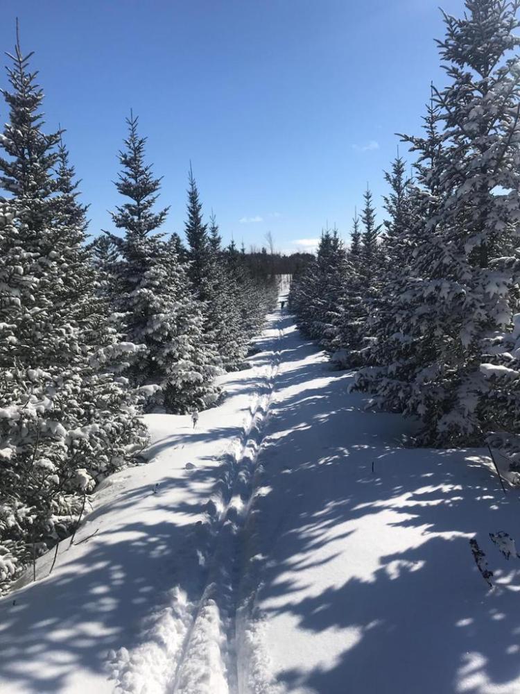 2a7a1fc5-07a3-4942-8cca-3ece161ba097